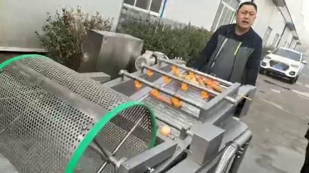 果蔬全自動氣泡清洗機 毛豆清洗機