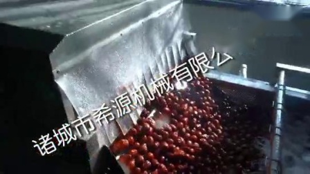 春季源頭廠貨 水果蔬菜去農藥殘留清洗機