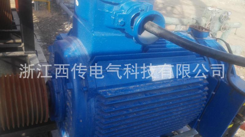 天平式游梁抽油機(jī)用電機(jī)及控制系統(tǒng)