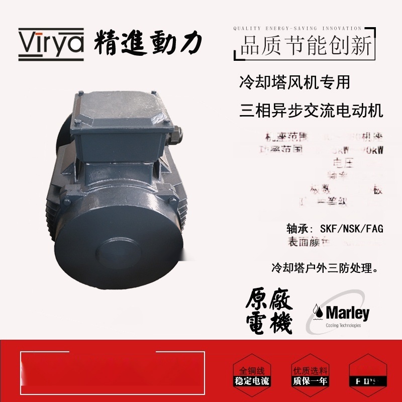 冷卻塔專用電機YE2 200L2-6-22KW