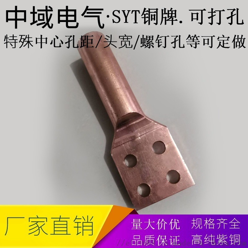 中域電氣專業(yè)定做非標(biāo)銅鼻子 四孔銅線耳